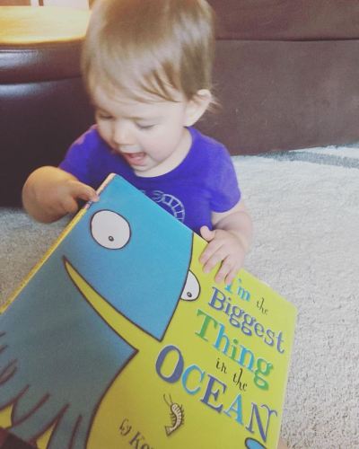 13669571_1782076515372832_1463457467881806280_n