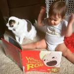 13775982_10205065589919043_3319301245804836857_n