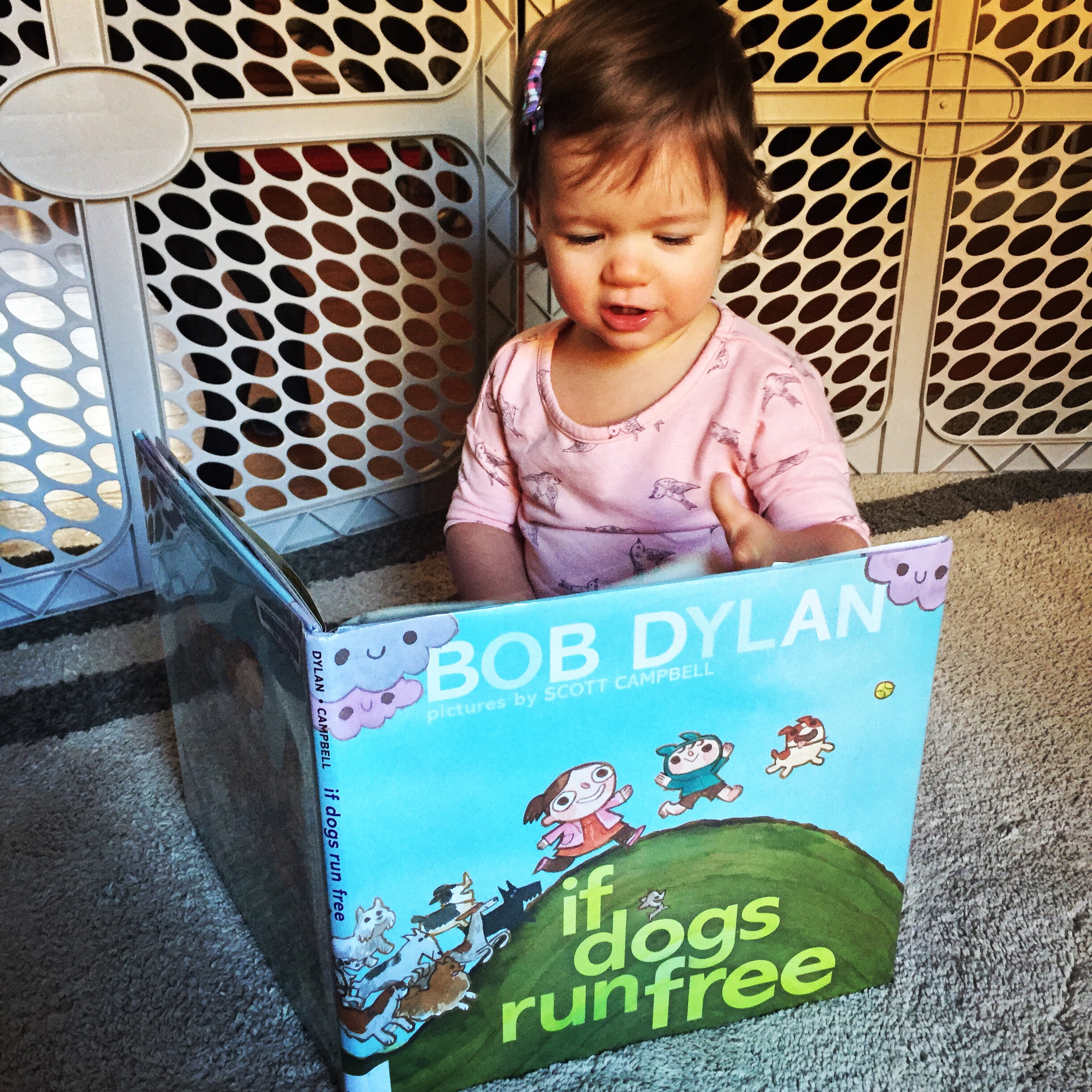 If Dogs Run Free (Bob Dylan) The Baby Bookworm